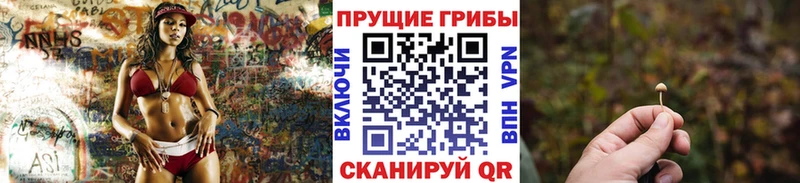 купить  сайты  Яхрома  Псилоцибиновые грибы Psilocybe 