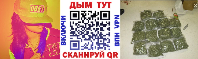 Каннабис гибрид  Яхрома 